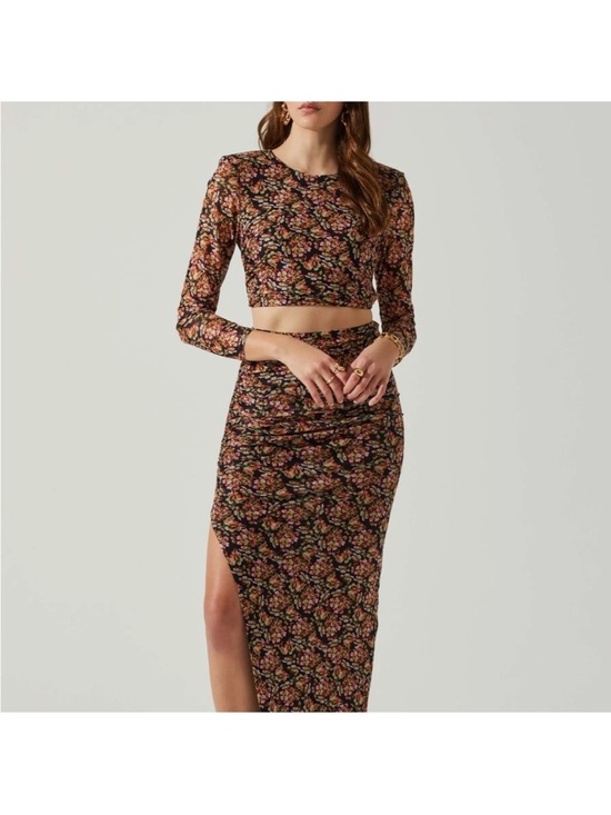 Astr Dresses & Skirts - ASTR Luisa Crop Top and BodyCon Skirt Set Black Floral Mesh Medium